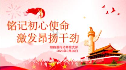 小猫钓鱼开船版最新版下载